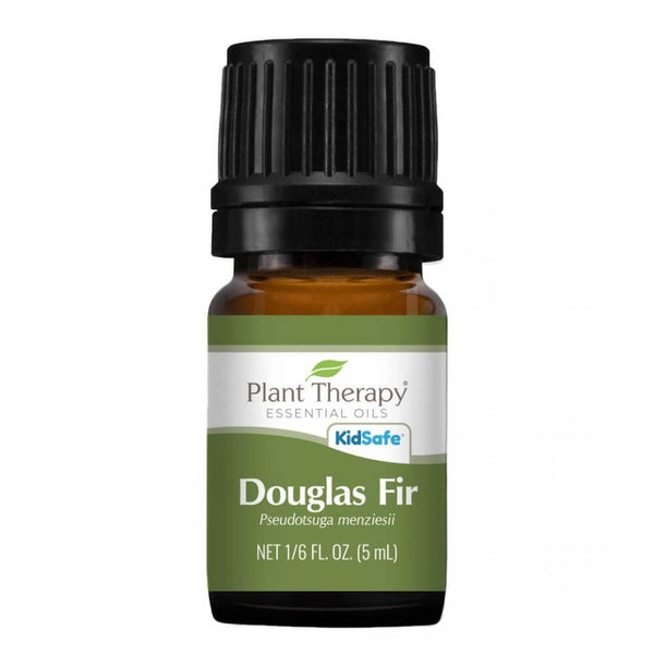 Plant Therapy Allspice To Lavender