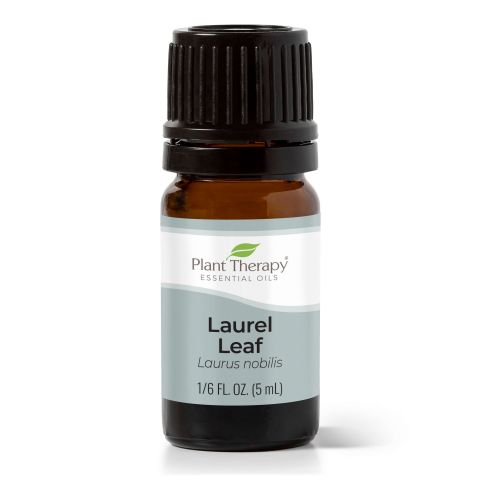Plant Therapy Allspice To Lavender