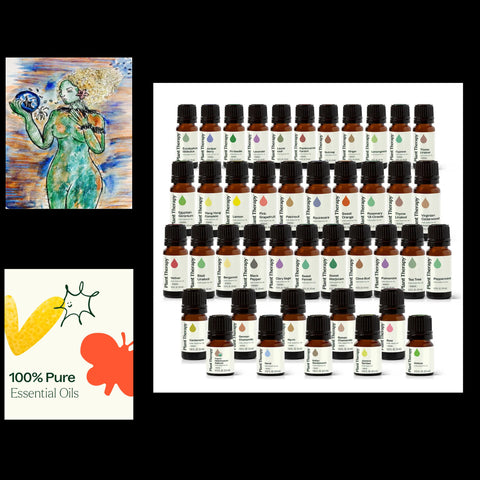 Plant Therapy Essential Oils 10 ml (sealed bottles)