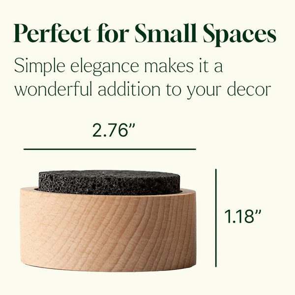 Plant Therapy Lava Rock Passive Diffuser