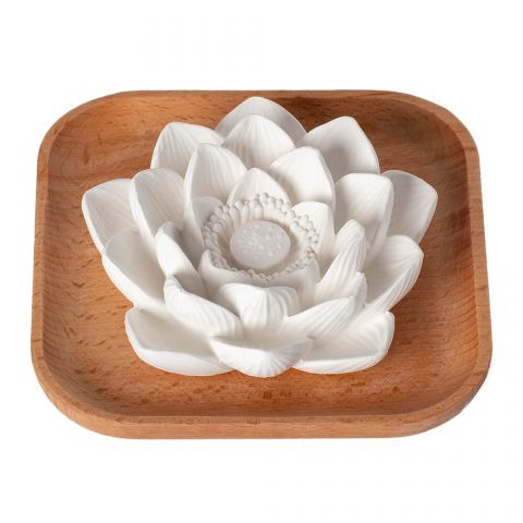 Plant Therapy Passive Lotus Diffuser